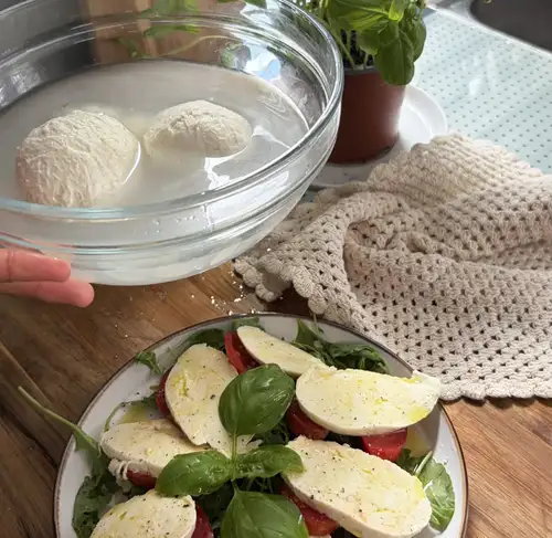 Selbst gemachter Mozzarella