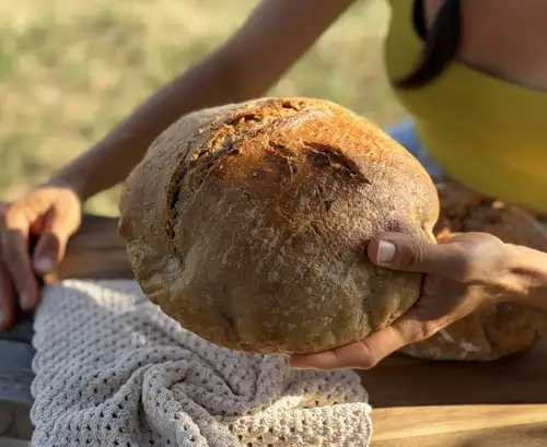 Dinkel Sauerteigbrot